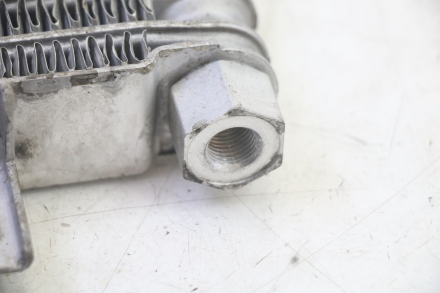 photo de CHŁODNICA OLEJU DAELIM VJ ROADWIN FI 125 (2008 - 2017) - Widok ogólny