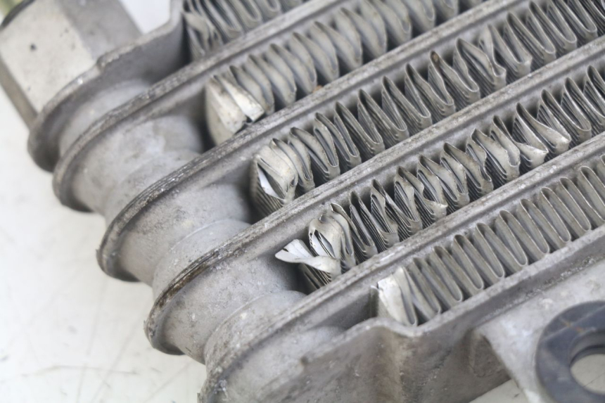 photo de CHŁODNICA OLEJU DAELIM VL DAYSTAR 125 (2000 - 2011) - Zbliżenie techniczne