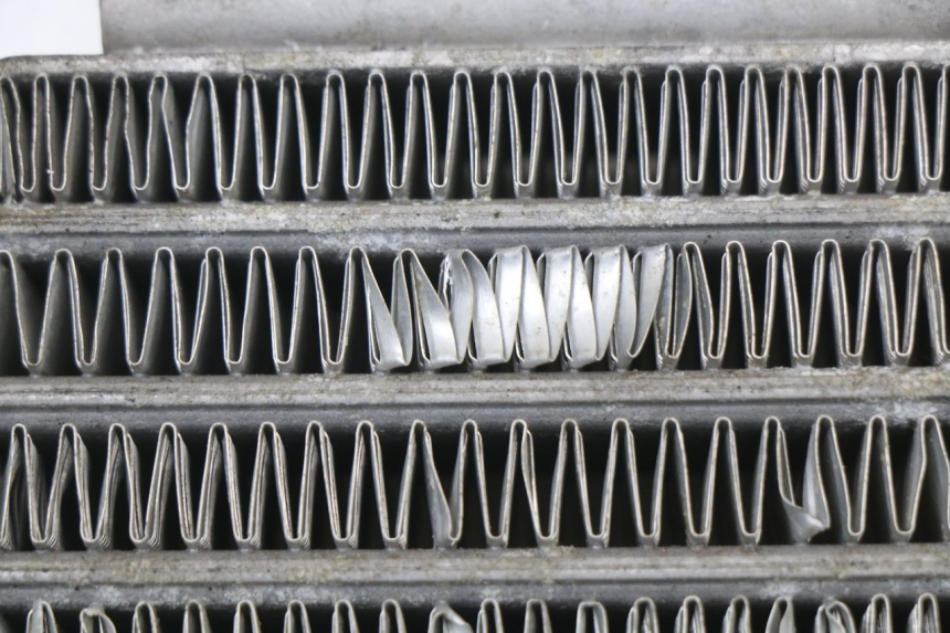 photo de CHŁODNICA OLEJU DAELIM VL DAYSTAR 125 (2000 - 2011) - Zbliżenie techniczne