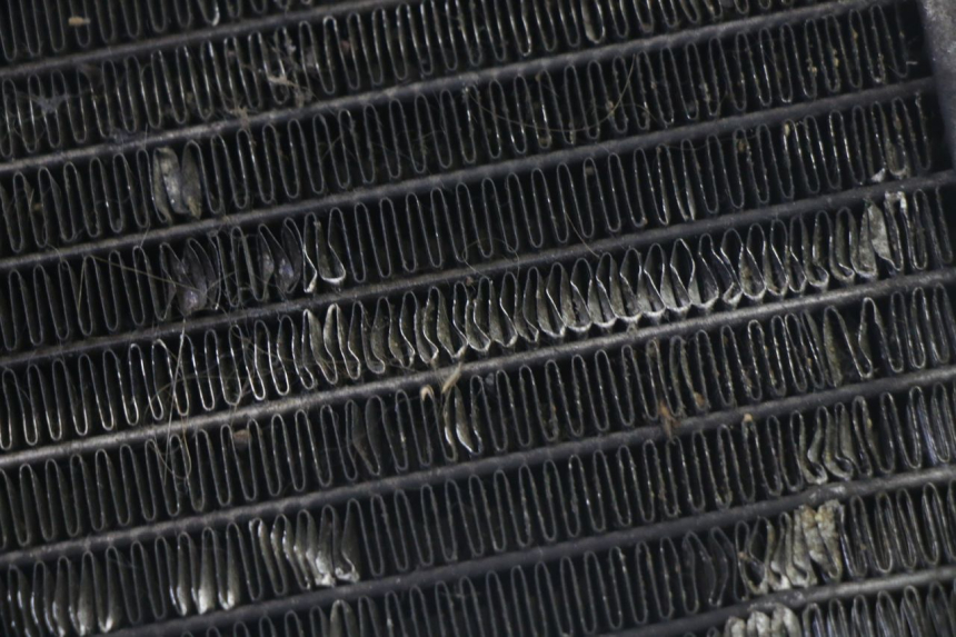 photo de CHŁODNICA PIAGGIO MP3 125 (2006 - 2014) - Zbliżenie techniczne