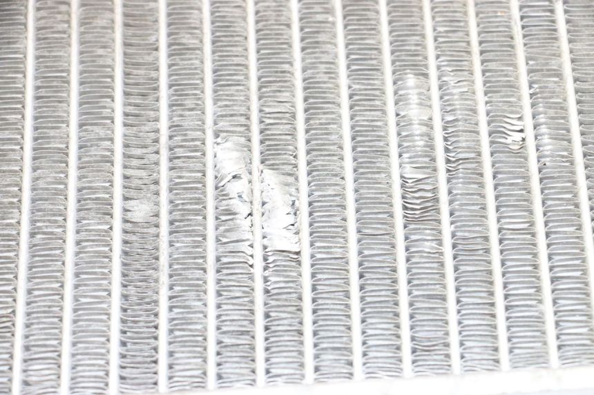 photo de CHŁODNICA GILERA NEXUS 125 (2009 - 2013) - Widok ogólny