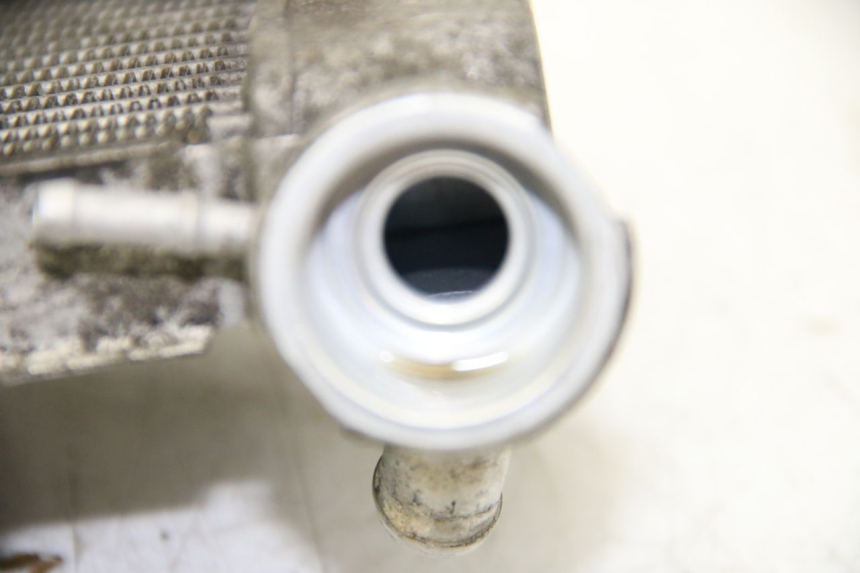 photo de CHŁODNICA HONDA PES PS I 125 (2006 - 2012) - Zoom stanu zużycia