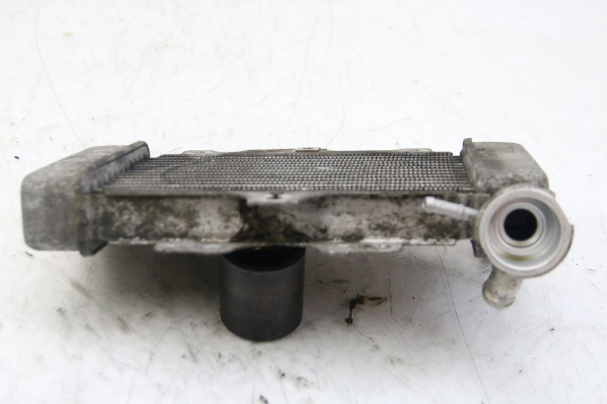 photo de CHŁODNICA HONDA PES PS I 125 (2006 - 2012) - Inny kąt widzenia