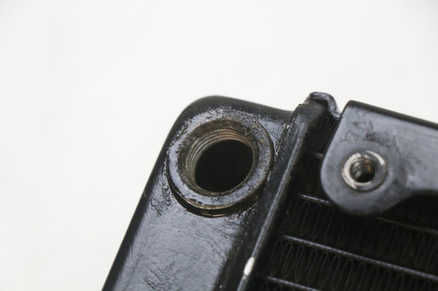 photo de CHŁODNICA REGAL RAPTOR SPYDER 125 (2010 - 2018) - Szczegół części