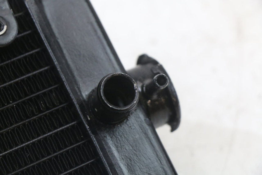 photo de CHŁODNICA REGAL RAPTOR SPYDER 125 (2010 - 2018) - Inny kąt widzenia