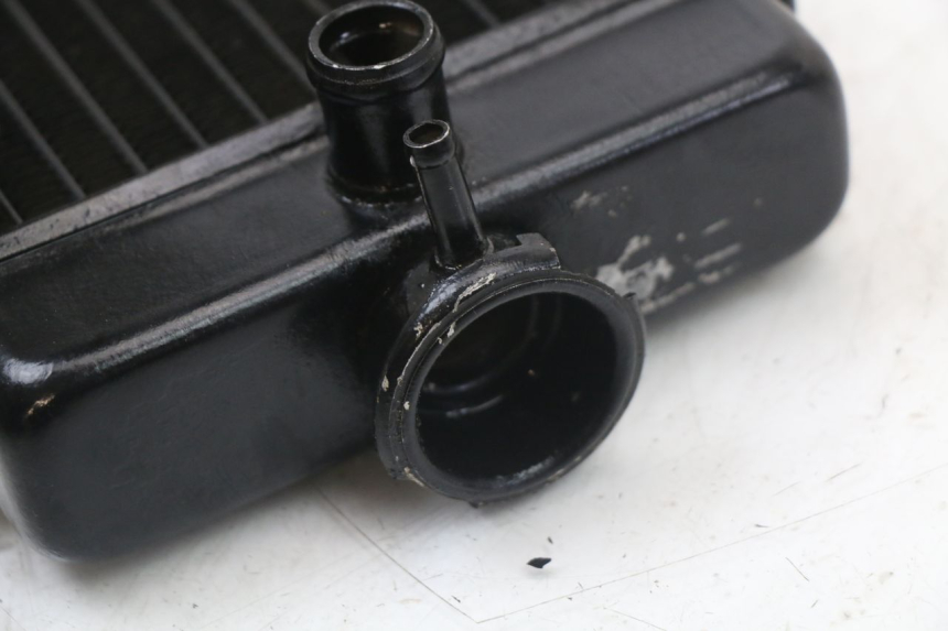 photo de CHŁODNICA REGAL RAPTOR SPYDER 125 (2010 - 2018) - Widok ogólny