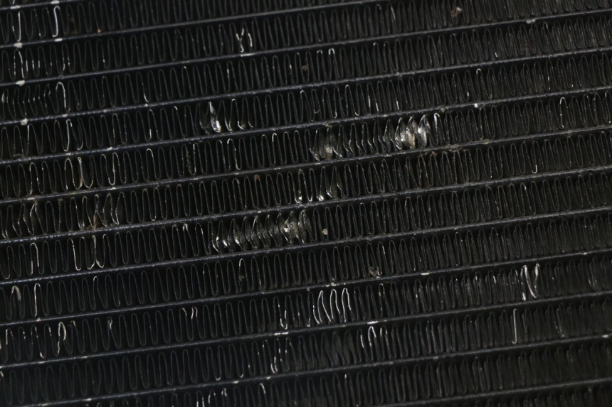 photo de CHŁODNICA REGAL RAPTOR SPYDER 125 (2010 - 2018) - Stan powierzchni