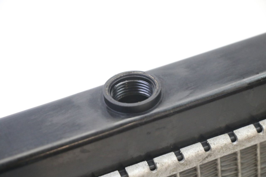 photo de CHŁODNICA PEUGEOT SATELIS 125 (2013 - 2018) - Stan powierzchni