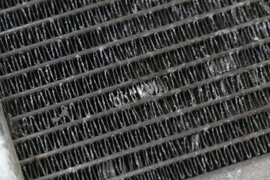 photo de CHŁODNICA HONDA SH ABS 125 (2012 - 2017) - Stan powierzchni