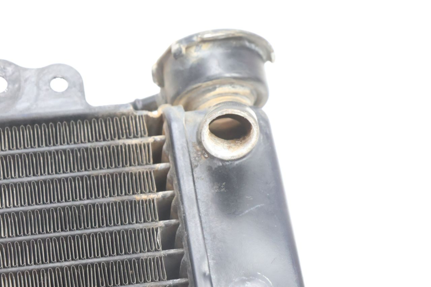 photo de CHŁODNICA HONDA SH 125 (2001 - 2003) - Szczegół części