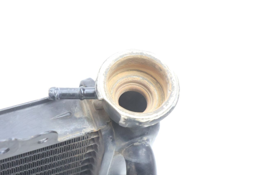 photo de CHŁODNICA HONDA SH 125 (2001 - 2003) - Inny kąt widzenia