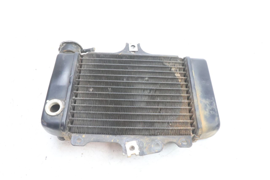 photo de CHŁODNICA HONDA SH 125 (2001 - 2003) - Widok ogólny