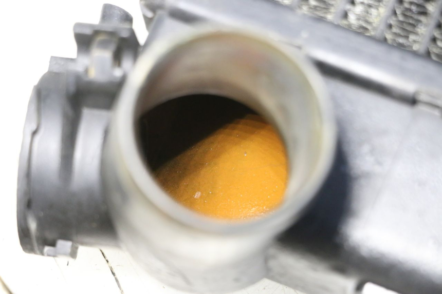 photo de CHŁODNICA TRIUMPH SPRINT 900 (1995 - 1998) - Zoom stanu zużycia