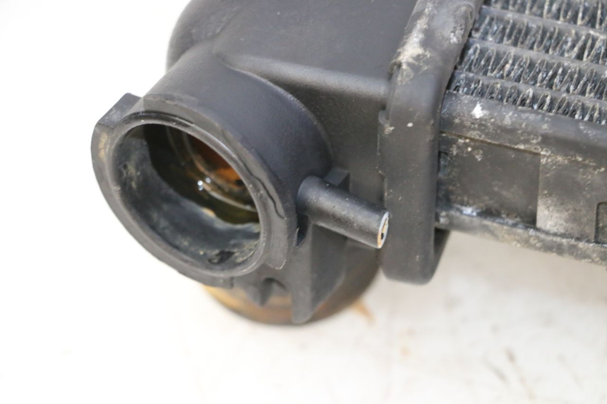 photo de CHŁODNICA TRIUMPH SPRINT 900 (1995 - 1998) - Punkty mocowania