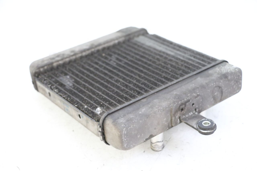 photo de CHŁODNICA SUZUKI BURGMAN 125 (2015 - 2017) - Inny kąt widzenia