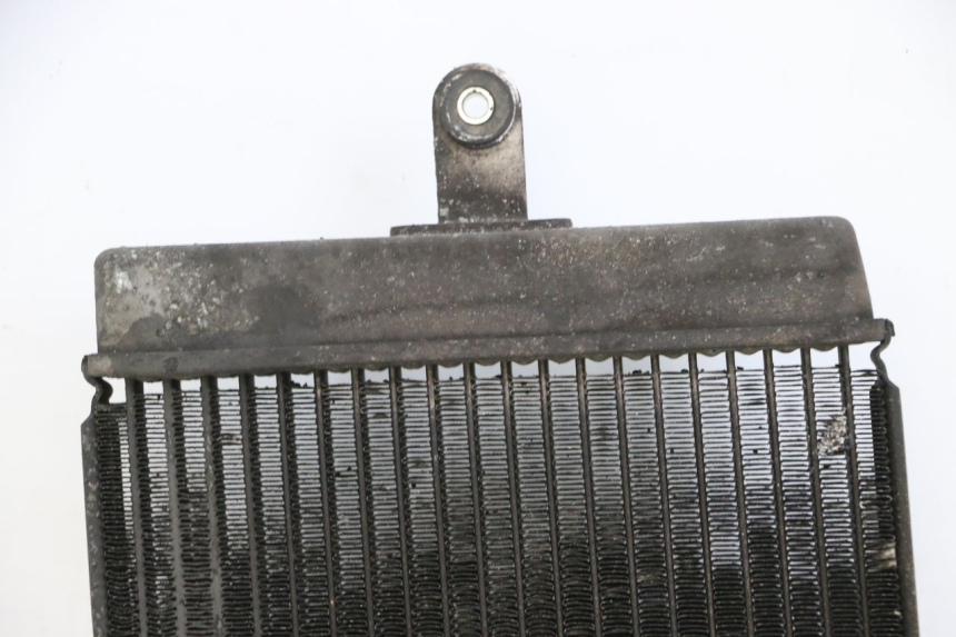 photo de CHŁODNICA SUZUKI BURGMAN 125 (2015 - 2017) - Oznaczenia i referencje