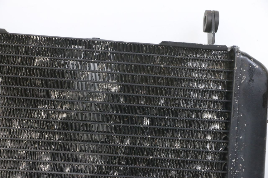 photo de CHŁODNICA SUZUKI SV N 650 (1999 - 2002) - Zdjęcie dodatkowe