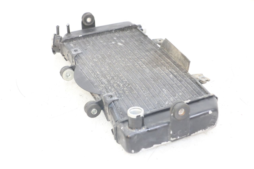 photo de CHŁODNICA YAMAHA TDM ABS 900 (2002 - 2014) - Widok ogólny