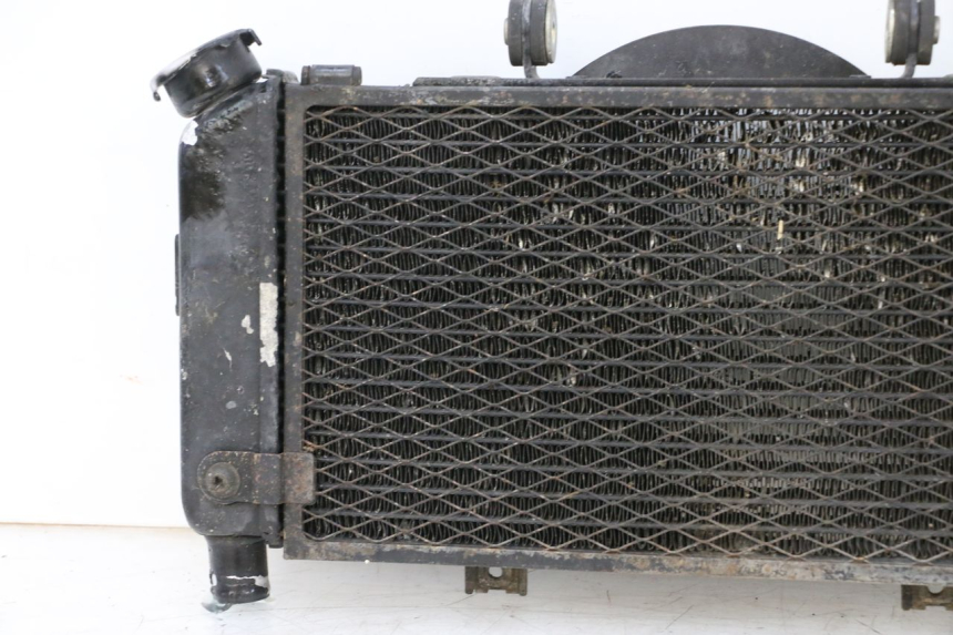 photo de CHŁODNICA YAMAHA TDM ABS 900 (2002 - 2014) - Widok produktu