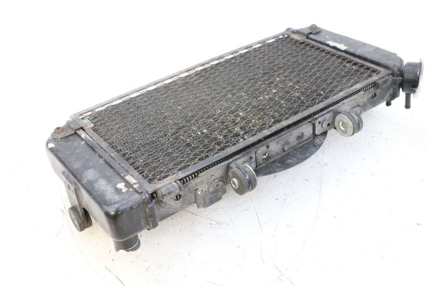 photo de CHŁODNICA YAMAHA TDM ABS 900 (2002 - 2014) - Inny kąt widzenia