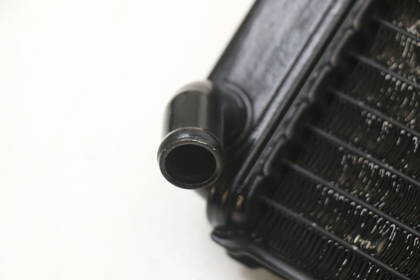 photo de CHŁODNICA YAMAHA TDR DELTABOX 125 (1997 - 2003) - Szczegół części