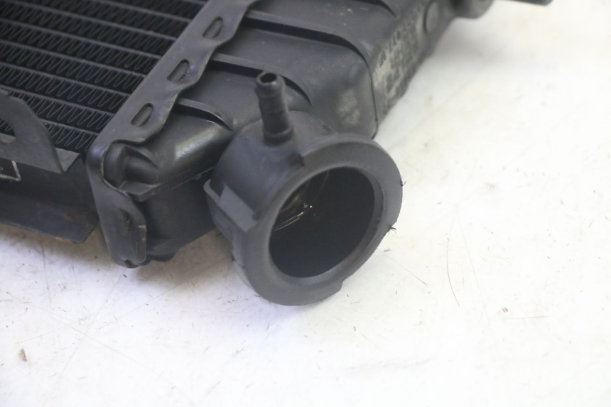 photo de CHŁODNICA YAMAHA TZR 50 (2008 - 2016) - Widok ogólny