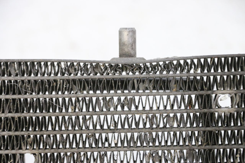 photo de CHŁODNICA YAMAHA XMAX X-MAX 125 (2006 - 2009) - Widok z bliska