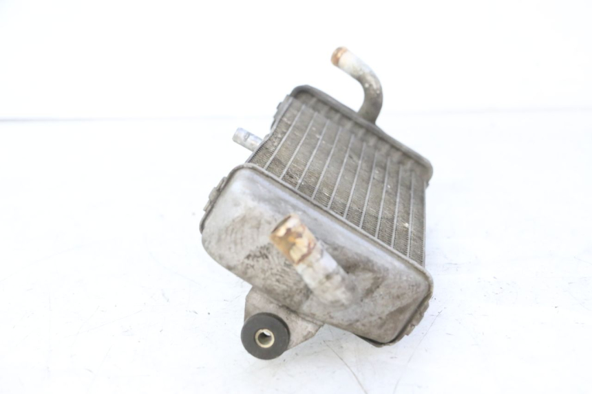 photo de CHŁODNICA YAMAHA XMAX X-MAX 125 (2006 - 2009) - Stan powierzchni