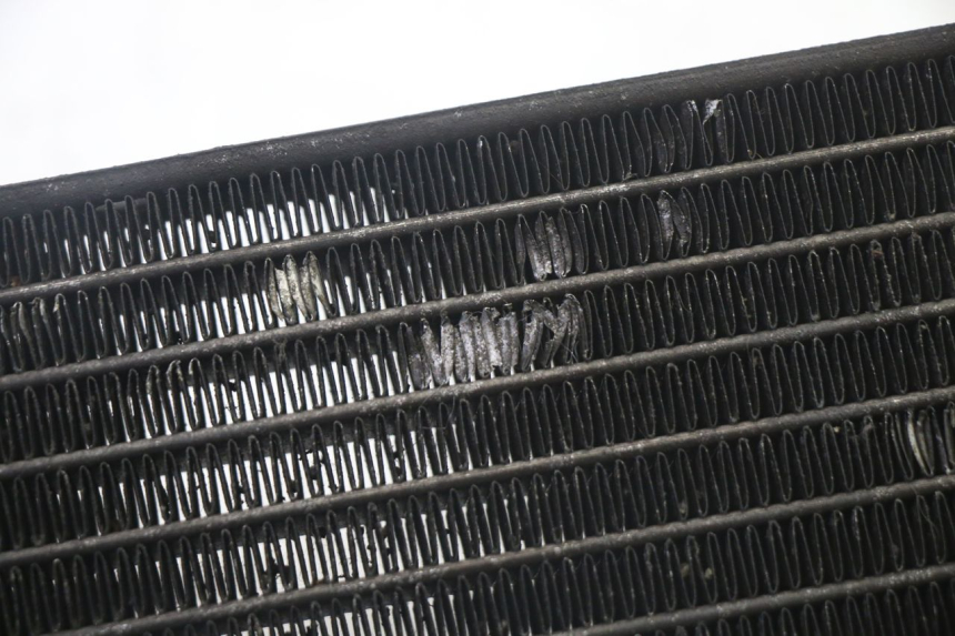 photo de CHŁODNICA YAMAHA X-MAX XMAX 125 (2010 - 2013) - Szczegół części