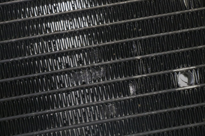 photo de CHŁODNICA YAMAHA X-MAX XMAX 125 (2010 - 2013) - Zoom stanu zużycia