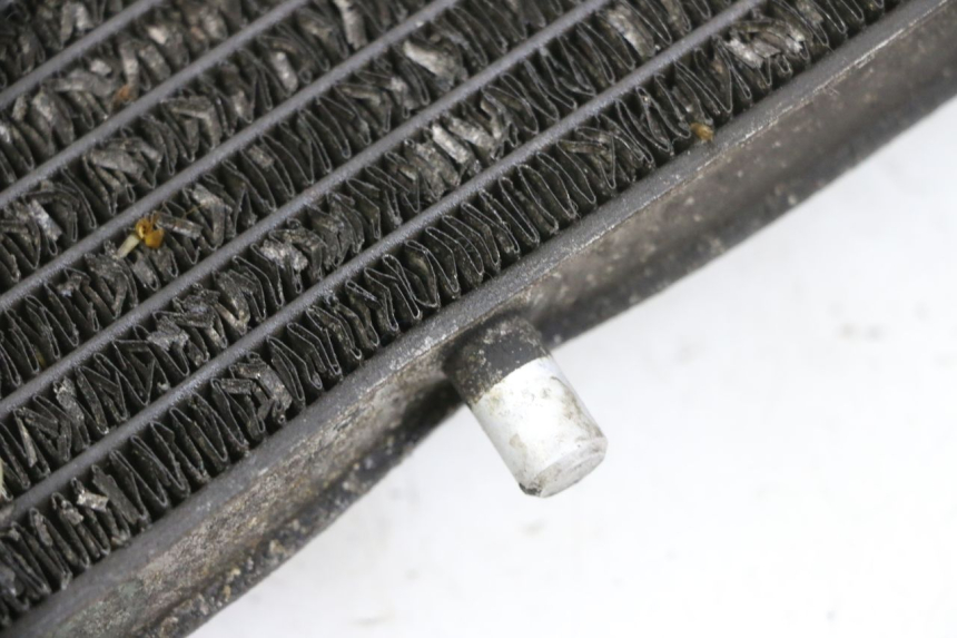 photo de CHŁODNICA YAMAHA X-MAX XMAX 125 (2010 - 2013) - Część sprawdzona