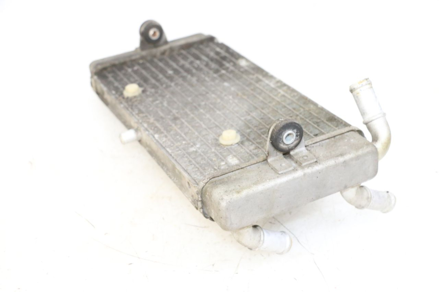 photo de CHŁODNICA YAMAHA X-MAX XMAX 125 (2010 - 2013) - Szczegół części