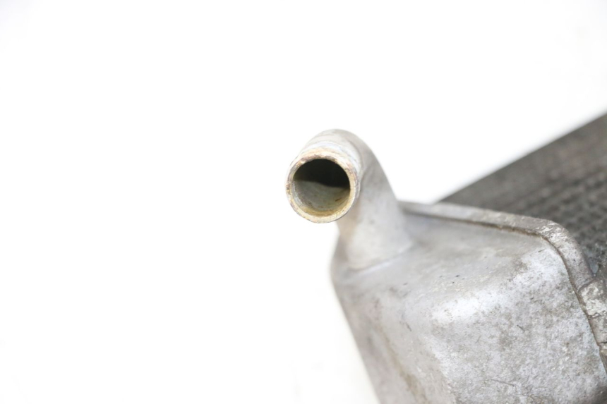 photo de CHŁODNICA YAMAHA XMAX X-MAX 125 (2006 - 2009) - Stan powierzchni