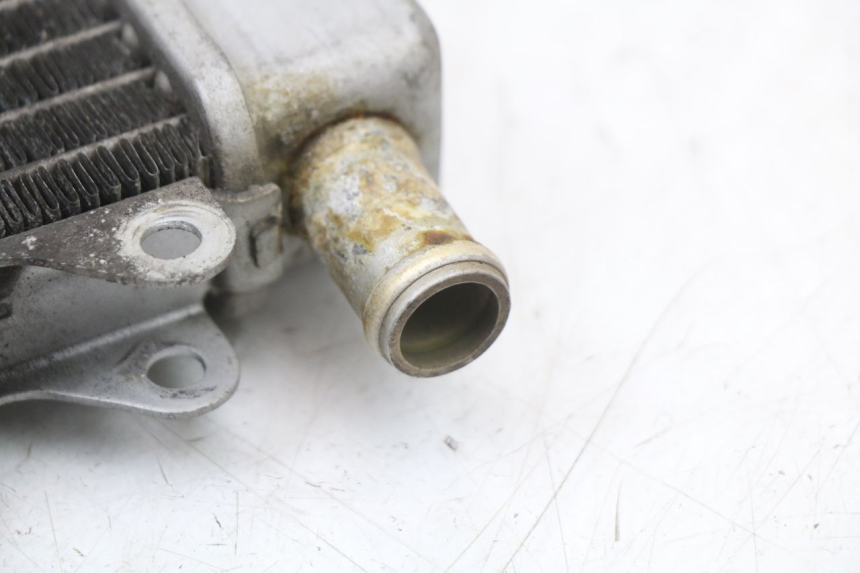 photo de CHŁODNICA PIAGGIO X10 125 (2012 - 2017) - Widok ogólny