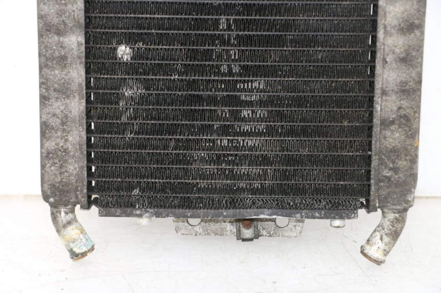 photo de CHŁODNICA PIAGGIO X8 125 (2004 - 2007) - Widok z bliska