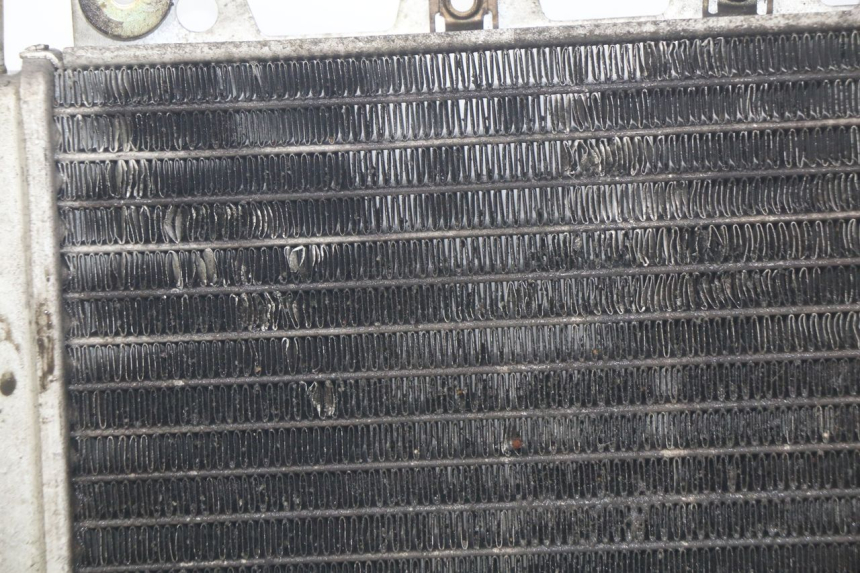 photo de CHŁODNICA PIAGGIO X9 EVOLUTION 250 (2003 - 2007) - Szczegóły charakterystyczne