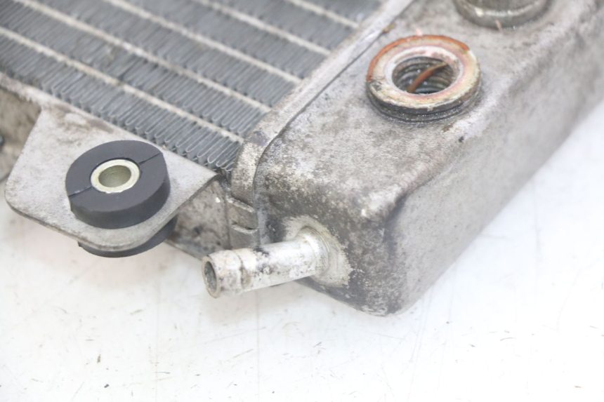 photo de CHŁODNICA PIAGGIO X9 EVOLUTION 250 (2003 - 2007) - Widok ogólny