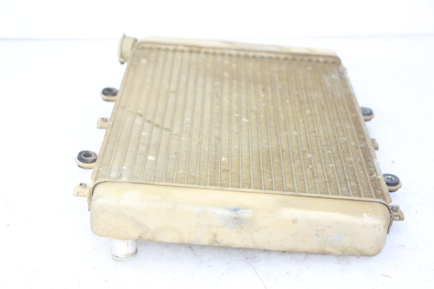 photo de CHŁODNICA YAMAHA YFM GRIZZLY 550 (2008 - 2015) - Zbliżenie techniczne