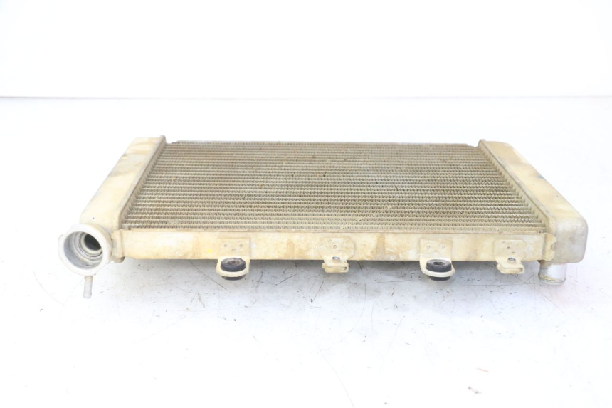 photo de CHŁODNICA YAMAHA YFM GRIZZLY 550 (2008 - 2015) - Widok ogólny