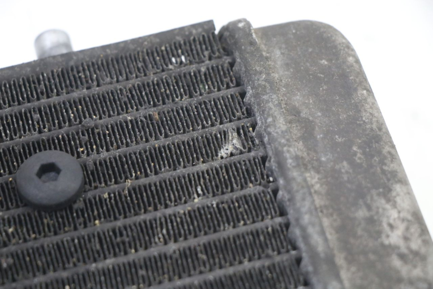 photo de CHŁODNICA YAMAHA YP X-MAX XMAX 400 (2014 - 2017) - Widok ogólny