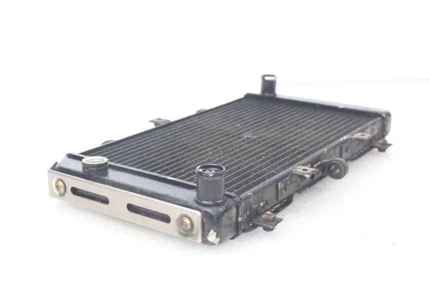 photo de CHŁODNICA KAWASAKI Z S 750 (2003 - 2006) - Inny kąt widzenia