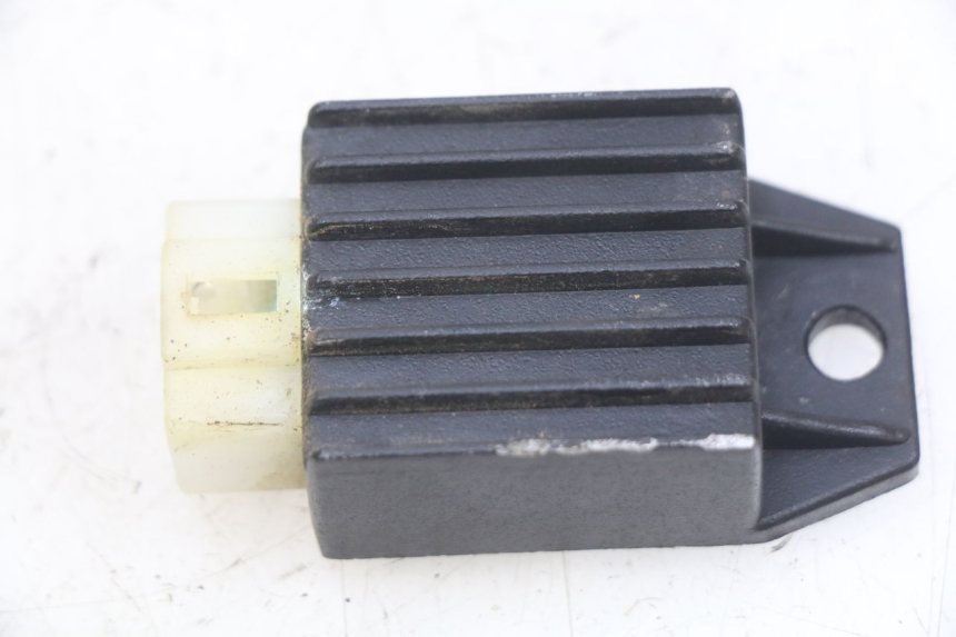 photo de REGULATOR ŁADOWANIA PANTHERA PANTHERA 110 (2010 - 2017) - Widok główny