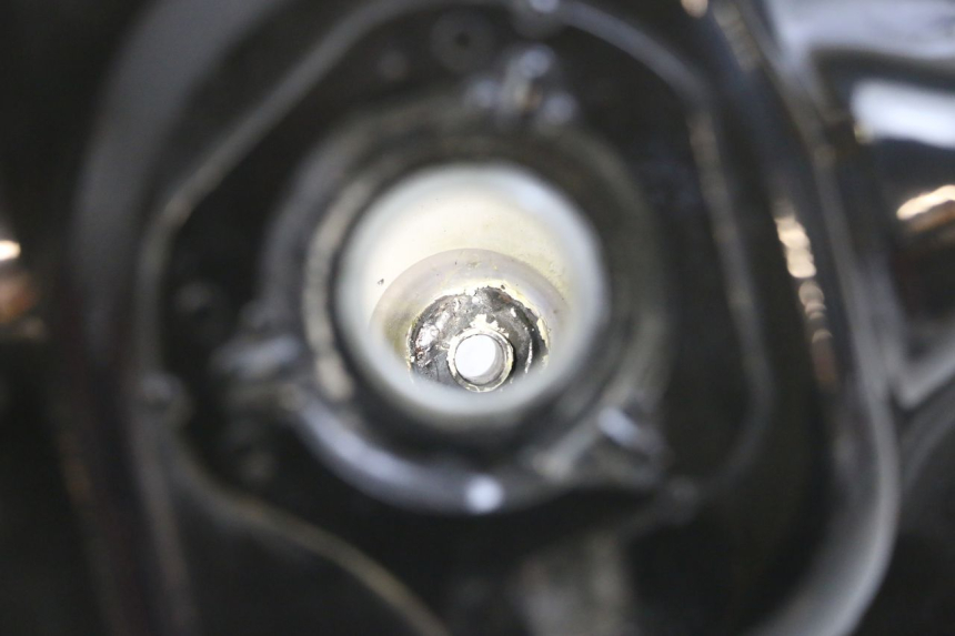 photo de ZBIORNIK PALIWA LONGJIA DIGITA 4T 50 (2019 - 2022) - Inny kąt widzenia