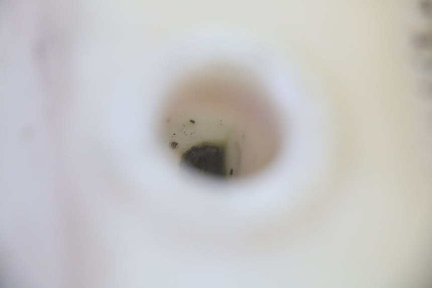 photo de ZBIORNIK OLEJU MBK BOOSTER SPIRIT 50 (2004 - 2017) - Zoom stanu zużycia