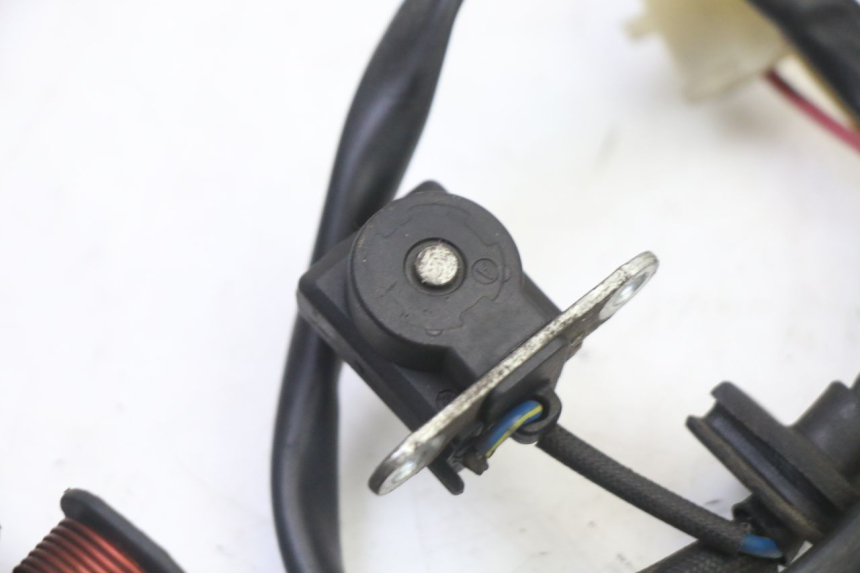 photo de ROTOR STATOR ORCAL CAVARO 4T 50 (2019 - 2023) - Widok ogólny