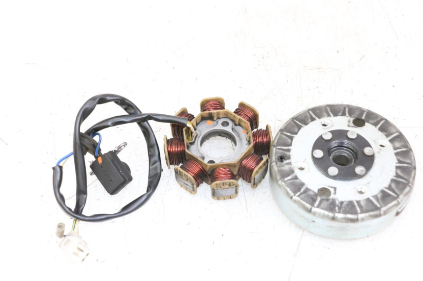 photo de ROTOR STATOR LONGJIA DIGITA 4T 50 (2019 - 2022) - Widok główny