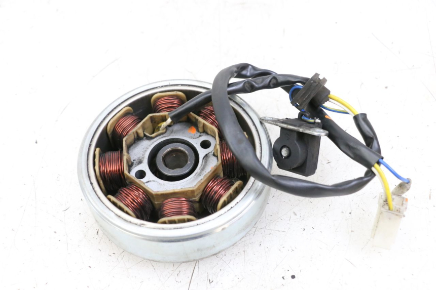 photo de ROTOR STATOR LONGJIA DIGITA 4T 50 (2019 - 2022) - Zoom stanu zużycia