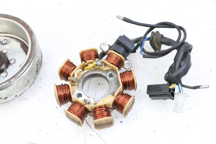 photo de ROTOR STATOR JM MOTORS EVOLIS 4T 50 (2018 - 2022) - Zoom stanu zużycia