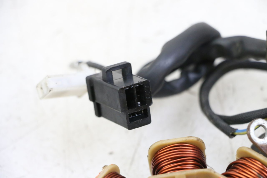 photo de ROTOR STATOR JM MOTORS EVOLIS 4T 50 (2018 - 2022) - Widok ogólny