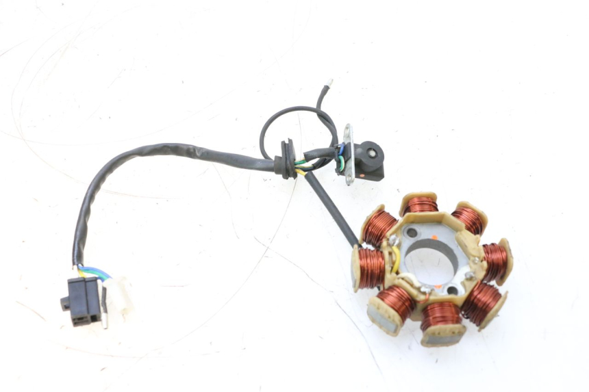 photo de ROTOR STATOR JM MOTORS EVOLIS 4T 50 (2018 - 2022) - Zbliżenie techniczne